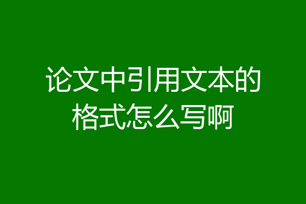 论文中引用文本的格式怎么写啊
