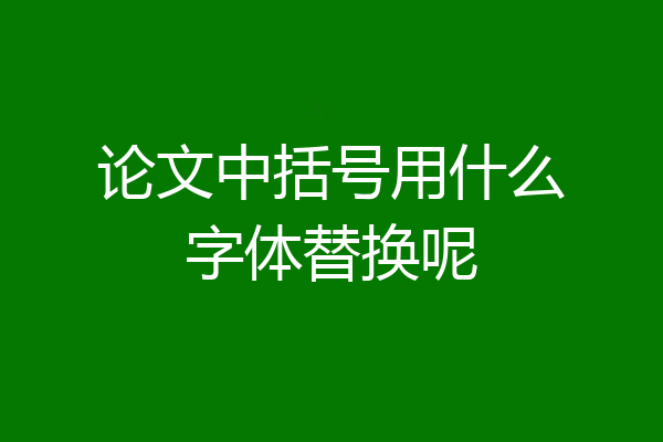 论文中括号用什么字体替换呢