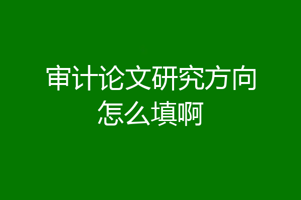 审计论文研究方向怎么填啊