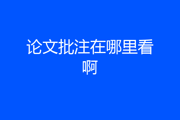 论文批注在哪里看啊