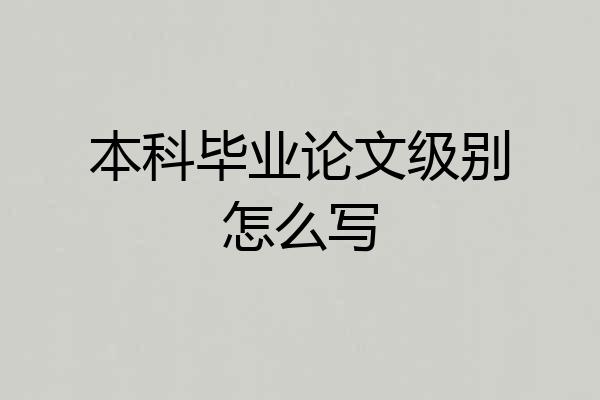 本科毕业论文级别怎么写
