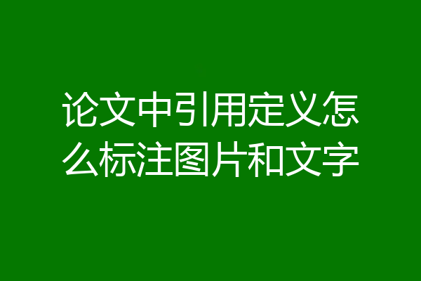 论文中引用定义怎么标注图片和文字