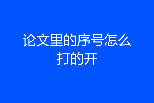 论文里的序号怎么打的开