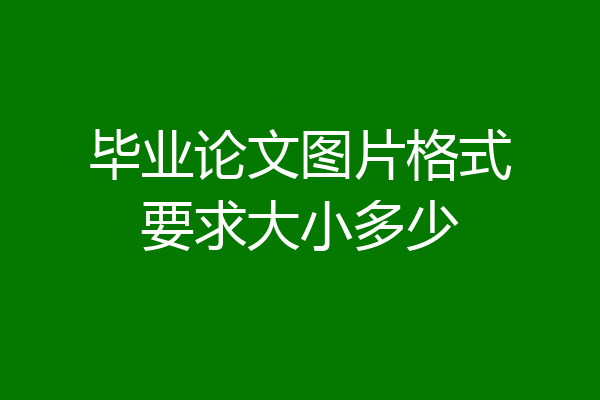 毕业论文图片格式要求大小多少