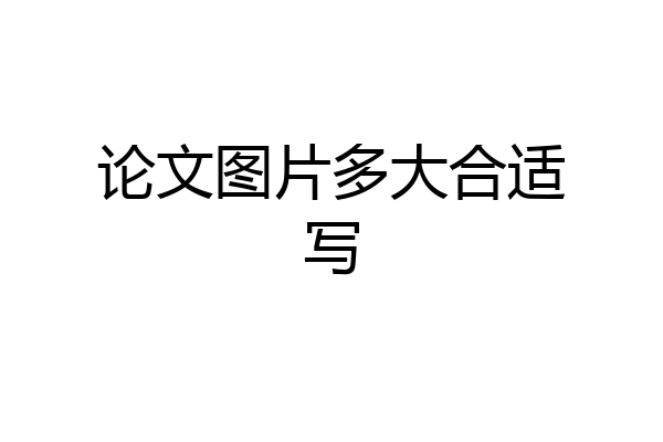 论文图片多大合适写