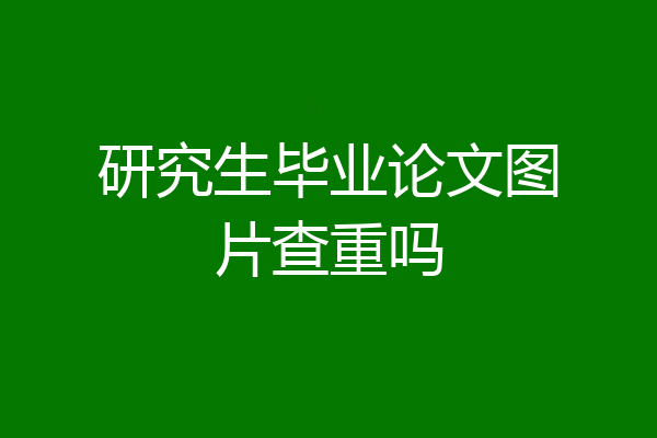 研究生毕业论文图片查重吗