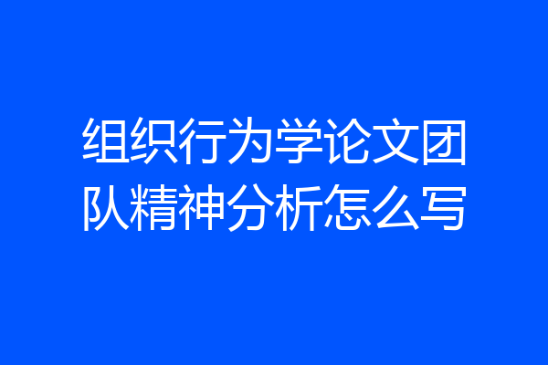 组织行为学论文团队精神分析怎么写