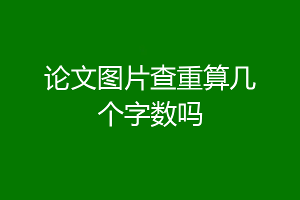 论文图片查重算几个字数吗