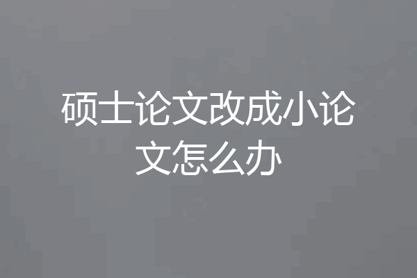 硕士论文改成小论文怎么办