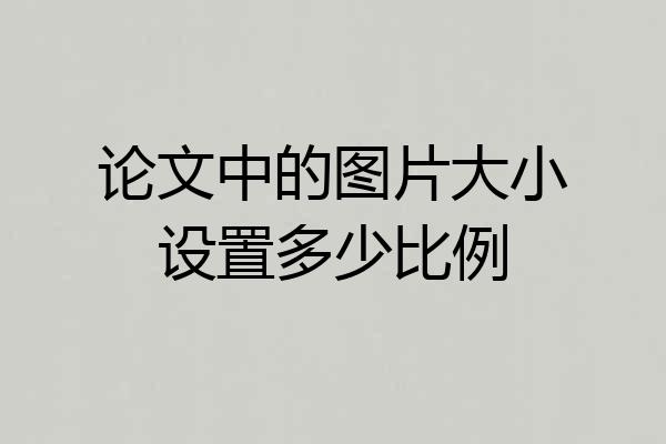 论文中的图片大小设置多少比例