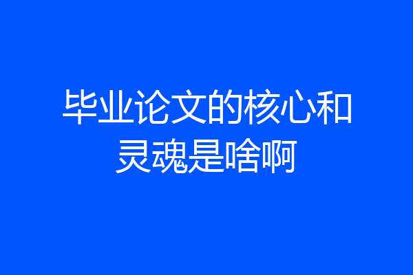 毕业论文的核心和灵魂是啥啊