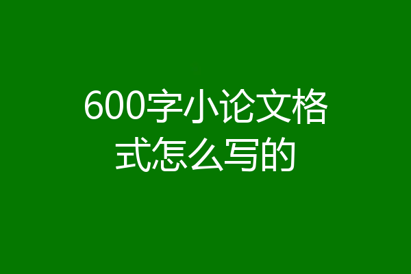 600字小论文格式怎么写的