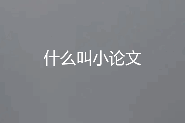 什么叫小论文