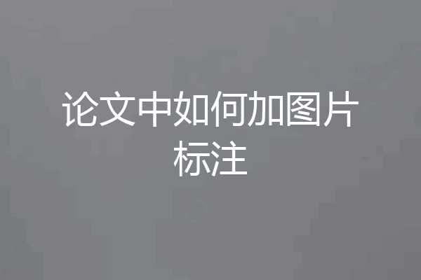论文中如何加图片标注