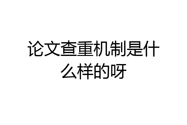论文查重机制是什么样的呀