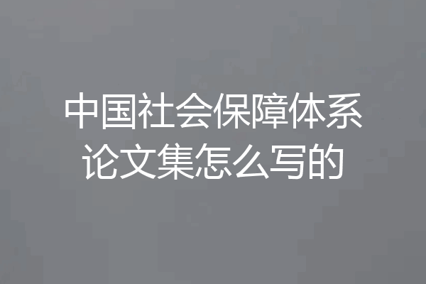 中国社会保障体系论文集怎么写的