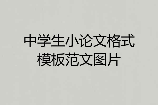 中学生小论文格式模板范文图片