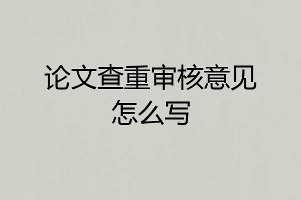 论文查重审核意见怎么写