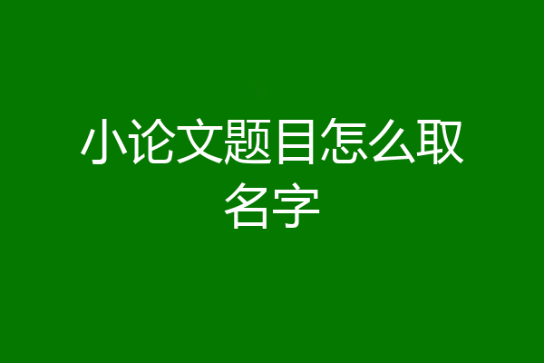 小论文题目怎么取名字