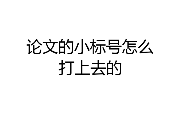论文的小标号怎么打上去的