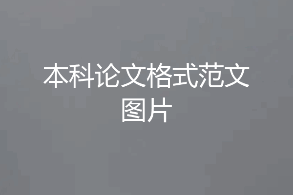本科论文格式范文图片