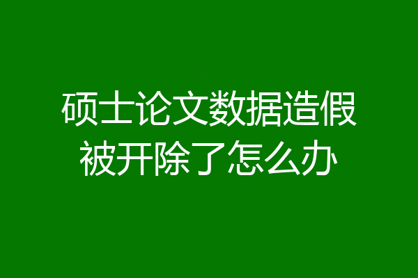 硕士论文数据造假被开除了怎么办