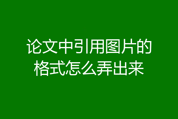 论文中引用图片的格式怎么弄出来