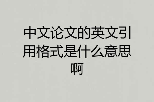 中文论文的英文引用格式是什么意思啊