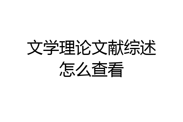 文学理论文献综述怎么查看
