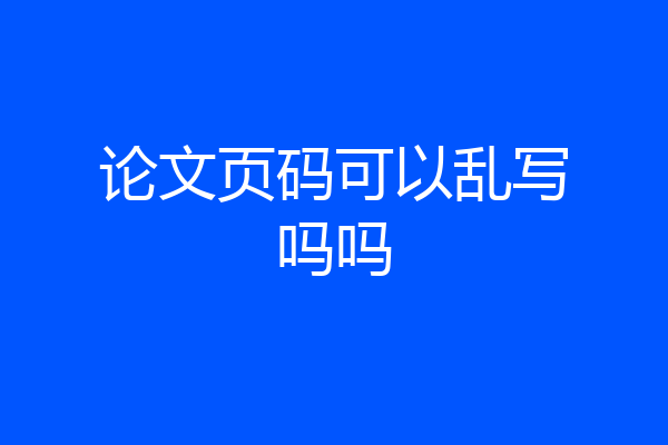 论文页码可以乱写吗吗