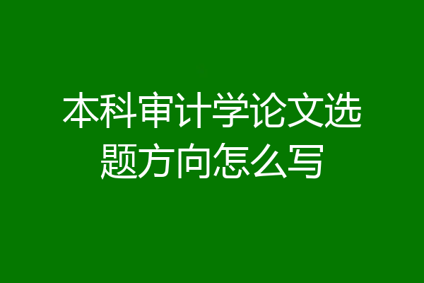 本科审计学论文选题方向怎么写