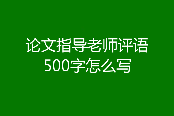 论文指导老师评语500字怎么写