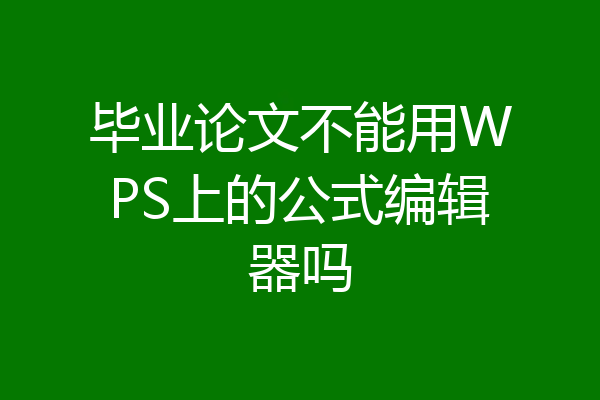 毕业论文不能用WPS上的公式编辑器吗