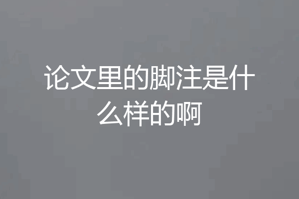 论文里的脚注是什么样的啊