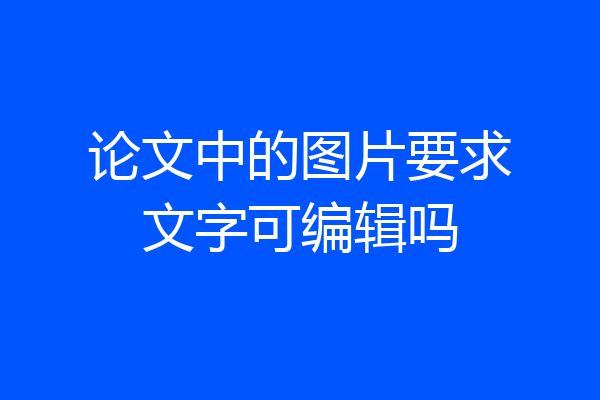 论文中的图片要求文字可编辑吗