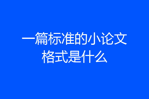 一篇标准的小论文格式是什么