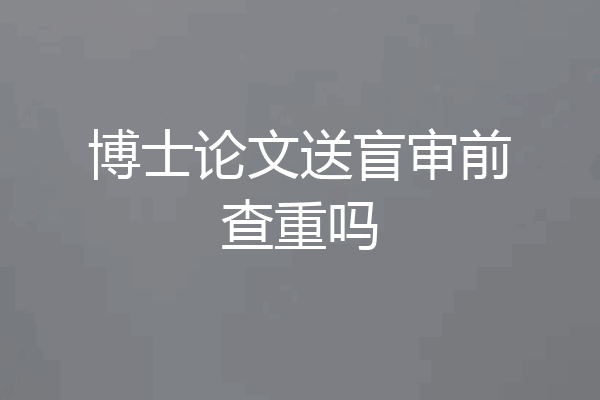 博士论文送盲审前查重吗