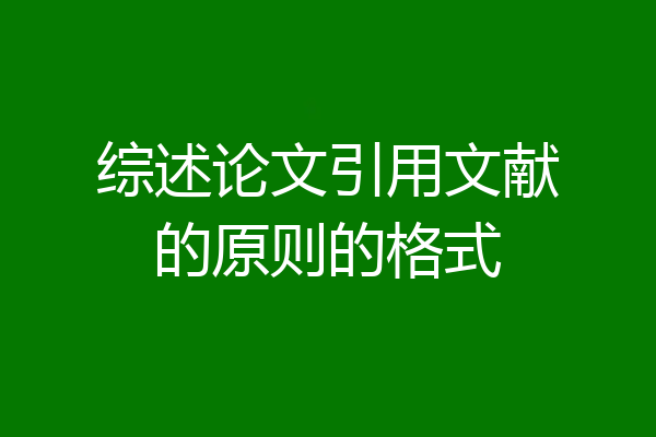 综述论文引用文献的原则的格式