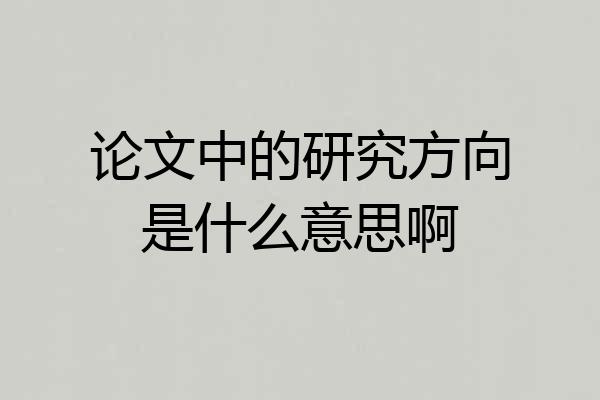 论文中的研究方向是什么意思啊