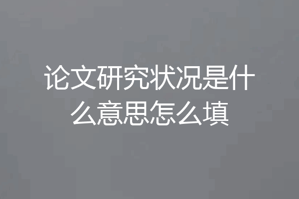 论文研究状况是什么意思怎么填