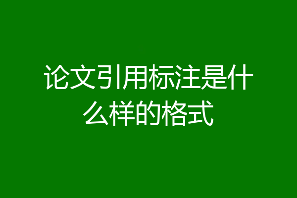论文引用标注是什么样的格式