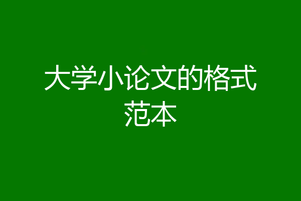 大学小论文的格式范本